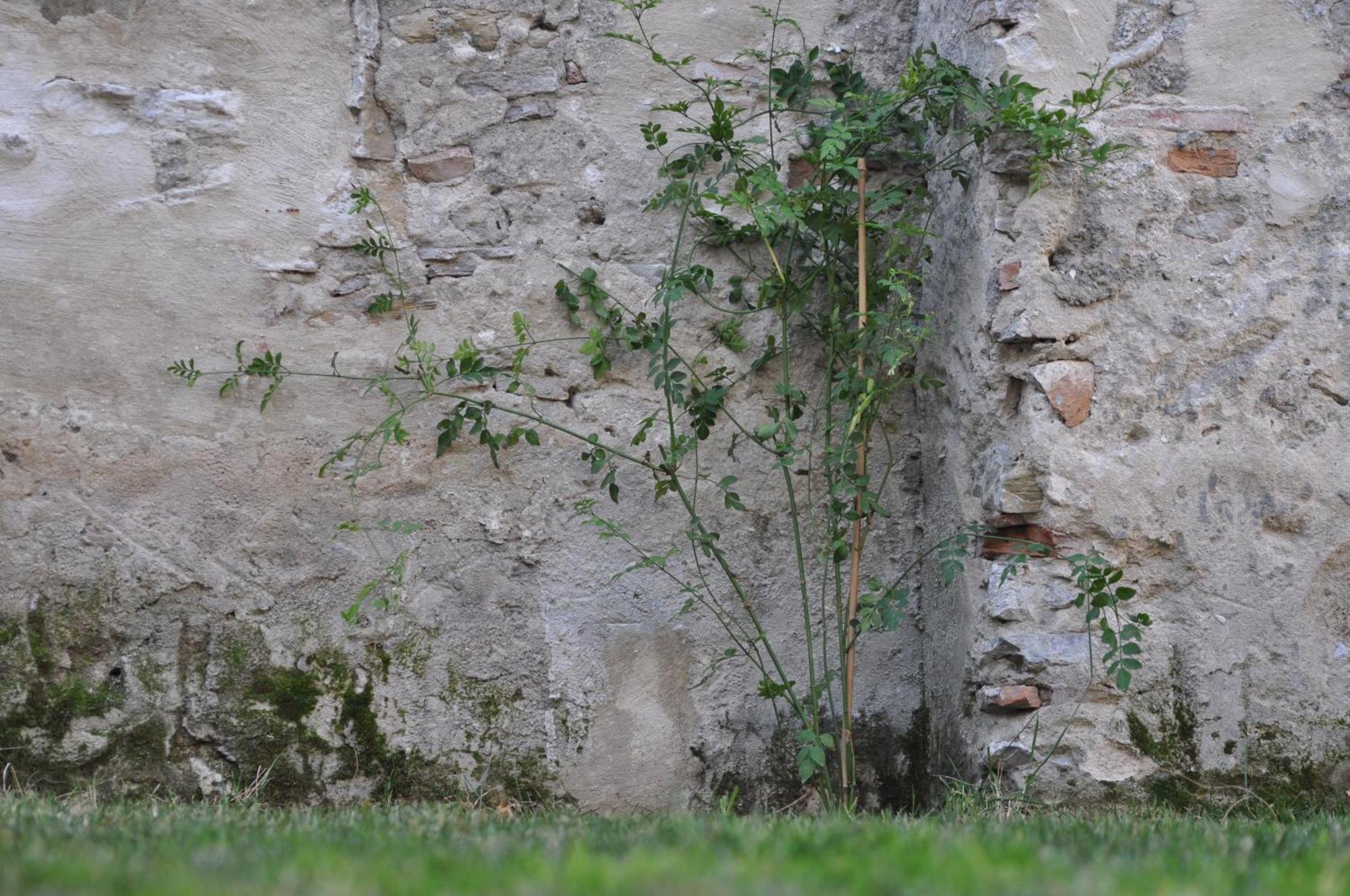ホテル Convento タリファ エクステリア 写真